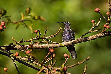 外媒评选2022年最难的15款游戏 《师父》在列